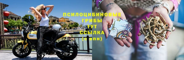 мескалин Арсеньев