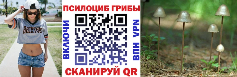 Псилоцибиновые грибы мицелий  Углегорск 